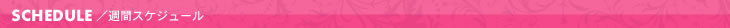 週間スケジュール