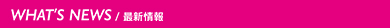 最新情報